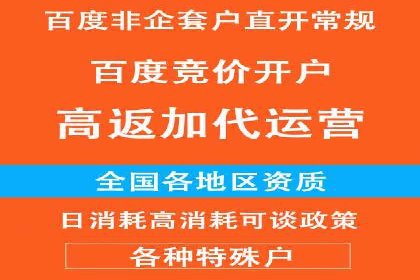 百度竞价运营实战案例分析：提升ROI策略